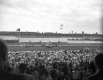 Horse Racing at Florida Downs by Robertson and Fresh (Firm)