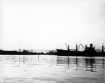Lykes Lines (Ships) in Port Tampa by Robertson and Fresh (Firm)