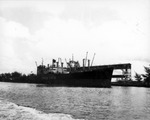 One of the Many Lykes Lines Ships that Dock in Port Tampa by Robertson and Fresh (Firm)