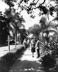 A Stroll on Campus at Florida Southern College