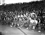 Spectators Holding Balloons at a Hillsborough High School Sporting Event by Robertson and Fresh