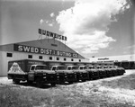 The Swed Distributing Company Which Distributes Budweiser Beer by Robertson and Fresh (Firm)