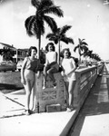 Three Young Women Pose on the Sidewalk on Bayshore Boulevard by Robertson and Fresh