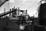 Tampa Electric Company Plant and a Pile of Coal