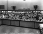 The Electrical Department at J.J. Newberry Company
