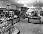 The Plant and Toy Displays at J.J. Newberry Company