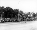 [A Gray Ghost on his Horse Passes During the Gasparilla Parade] by Robertson and Fresh