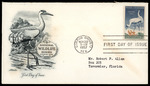 Postcard, National Wildlife Series Whooping Crane 1957