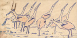 Sketches of Roseate Spoonbill Breeding Behavior, circa 1950