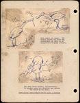 Spoonbill Mating Stages Sketches, 1940
