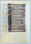 Leaf ending the penitential psalms (142) and opening litany, France, Paris Catalogue 21 by University of South FloridaTampa Campus Library
