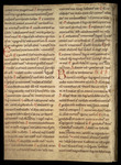 Bifolium from a psalter, north Germany Catalogue 14 by University of South FloridaTampa Campus Library