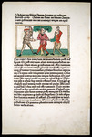 Leaf from speculum humanae salvationis (mirror of human salvation) Catalogue 16 by University of South FloridaTampa Campus Library