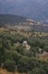 View of the valley with Sanctuary of Athena Pronaia and the Tholos (ca. 380 BC)