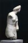 Torso of Aphrodite (Venus de'Medici type)