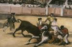 The Bullfight