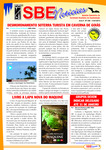 SBE Notícias, Ano 8, No. 250, January 11, 2013