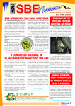 SBE Notícias, Ano 8, No. 254, February 21, 2013