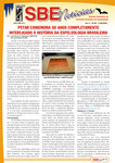SBE Notícias, Ano 3, No. 89, June 11, 2008