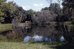Group Observes Lake Thonotosassa at Shangri-La by University of South Florida