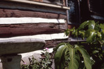 Close-Up of Cabin Entrance at Shangri-La by University of South Florida