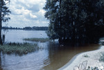Lake Thonotosassa Waterfront from Shangri-La by University of South Florida