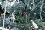 Six People Clear Branches at Shangri-La by University of South Florida