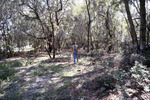 Woman Holds Map in Wooded Area of Shangri-La Retreat, A by University of South Florida