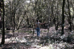 Woman Holds Map in Wooded Area of Shangri-La Retreat, B by University of South Florida