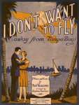 I don't want to fly : (away from Tampa Bay) by Mary Valdespino