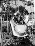 Mad Mouse Roller Coaster by Unknown