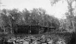 Bridge in Lake County by C. H. Stokes