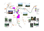Analysis of Monteverde [PowerPoint], 2004 by Monteverde Institute
