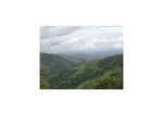 Finca las Americas conservation management program, 2003 by Monteverde Institute