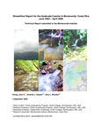 Streamflow report for the Quebrada Cuesca in Monteverde, Costa Rica: June 2004-April 2006, September 2006