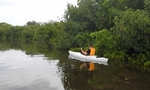 Hallock Kayaking Bartlett Pond