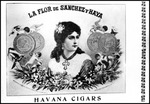 La Flor de Sanchez y Haya, A