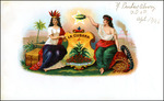 The La Cubana cigar label brand of Y. Pendas and Company.
