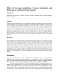 Effect of Cecropia polyphlebia, Cecropia obtusifolia, and Bidens pilosa on human lung capacity