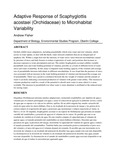 Adaptive response of Scaphyglottis acostaei (Orchidaceae) to microhabitat variability
