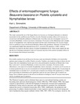 Effects of entomopathonogenic fungus Beauveria bassiana on Plutella xylostella and Nymphalidae larvae