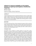 Influence of resource availability on the foraging behavior of traplining hummingbirds in Monteverde, Costa Rica