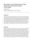 Microhabitat use and escape behavior of male, female and juvenile Norops oxylophus (Polychrotidae)