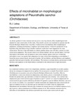 Effects of microhabitat on morphological adaptations of Pleurothallis sanchoi (Orchidaceae)