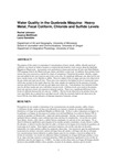 Water quality in the Quebrada Máquina: heavy metal, fecal coliform, chloride and sulfide Levels