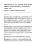 Territoriality and courtship behavior in male Anartia fatima (Nymphalinae)