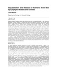 Sequestration and release of nutrients from mist by epiphytic mosses and orchids