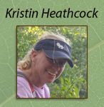 Kristin Heathcock