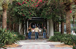 Students walking through the Martin Luther King, Jr. Plaza on the USF Tampa campus, c.1988