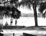 Students at Lake Lindsey near Chinsegut Hill Manor House by University of South Florida